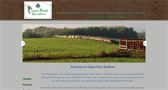 Desktop Screenshot of cabraparkstables.com